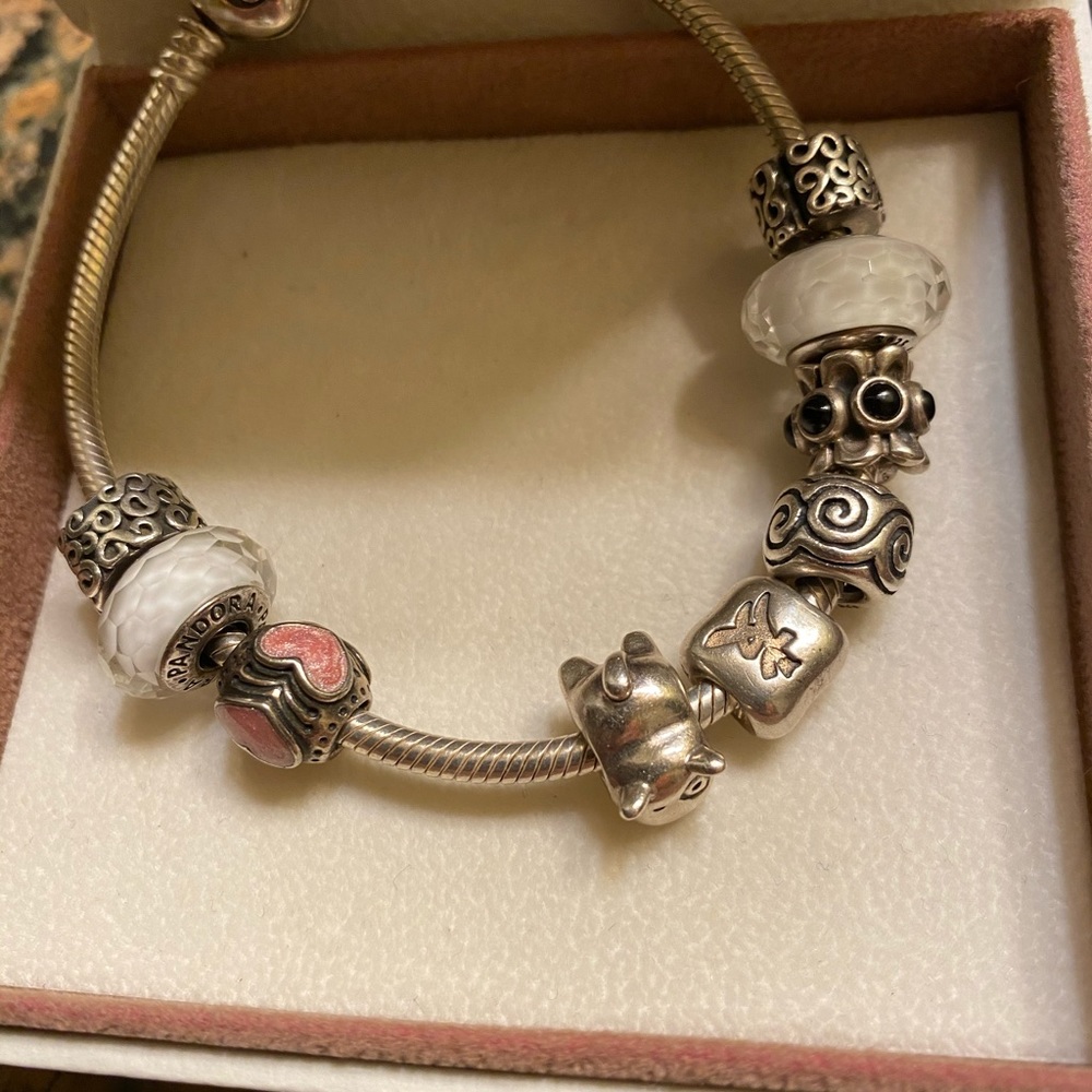 Pandora charms
